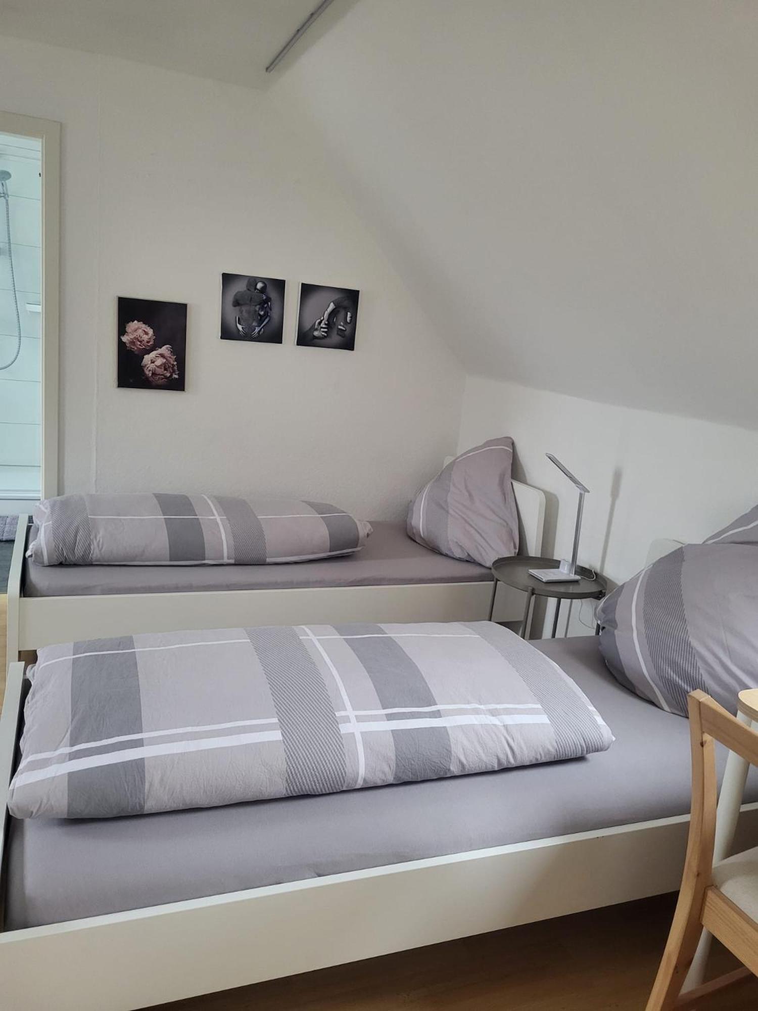 A&V Apartments Gemuetliche Rheinblick Wohnung Apt Daisy ドゥイスブルグ エクステリア 写真